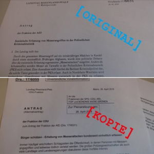 AfD Antrag von CDU kopiert